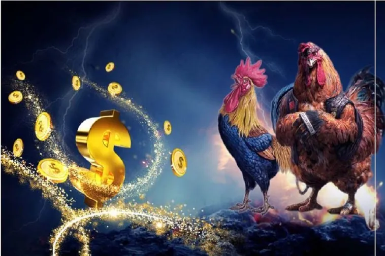 Cách Chơi Đá Gà WS168 Tại Fun88 Vui Nhộn Nhưng Thắng Lớn Dễ Dàng